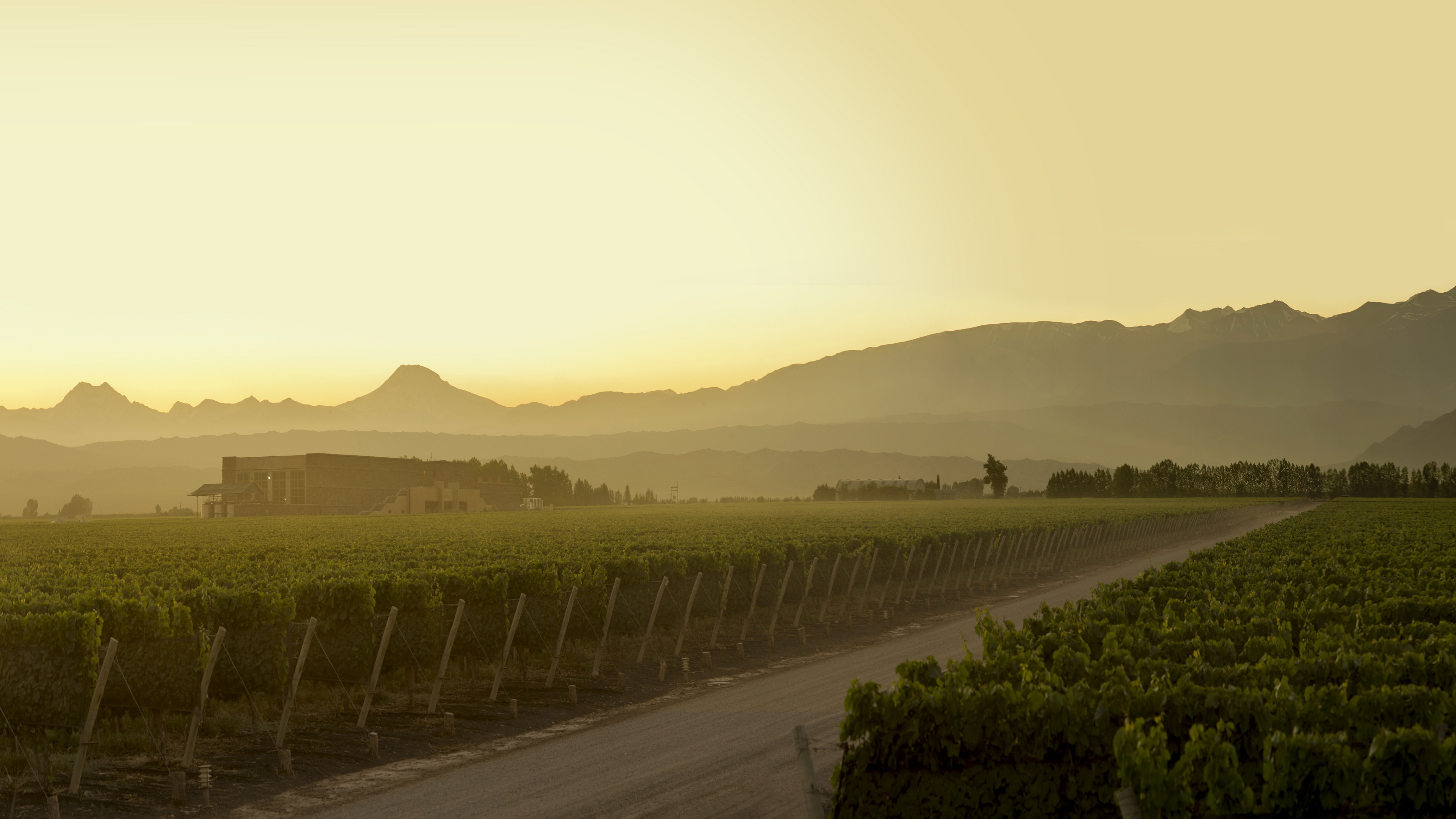 Bodega Séptima