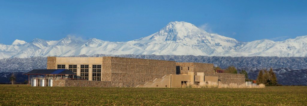 Bodega Séptima