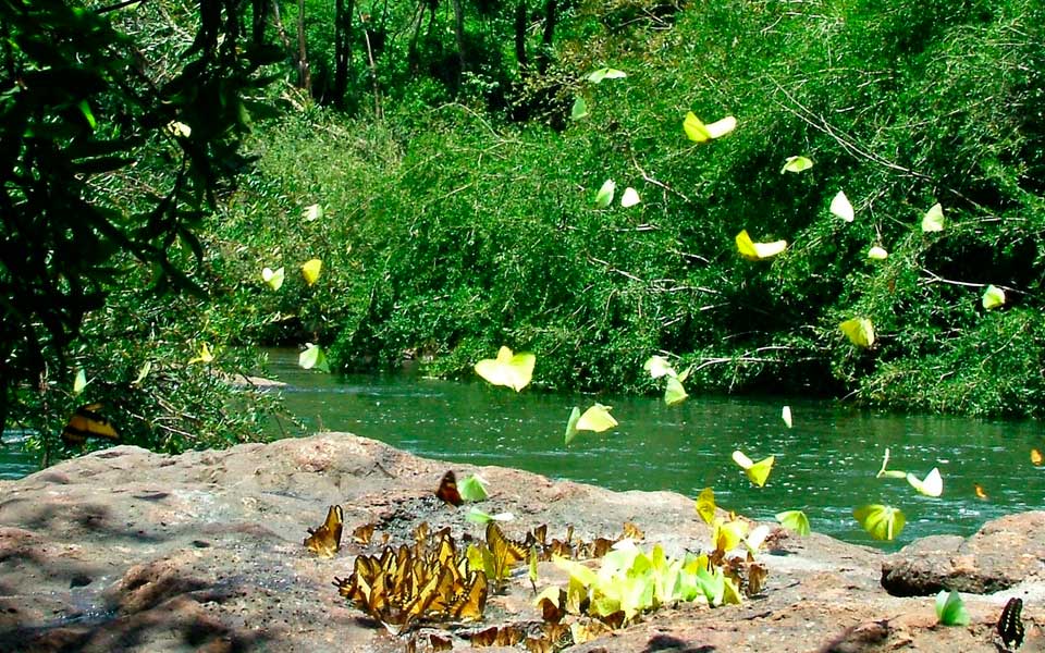 Saltos de Moconá